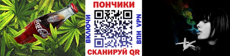 Canna-Cookies марихуана mega ССЫЛКА Ачхой-Мартан