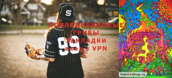 индика Алексеевка
