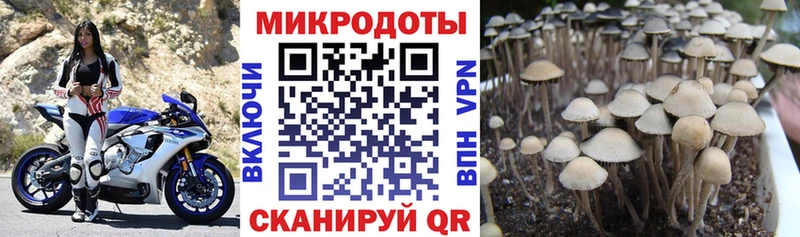Галлюциногенные грибы ЛСД  это наркотические препараты  Ачхой-Мартан  купить наркотик  omg рабочий сайт 